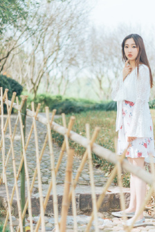 鲸鱼夫妇全集